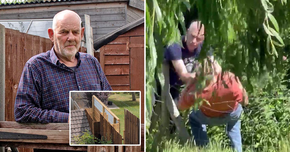 Ex-police officer grabs neighbour around neck in row over garden fence