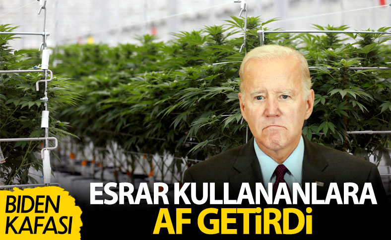 Joe Biden supplies amnesty to these convicted of drug ownership