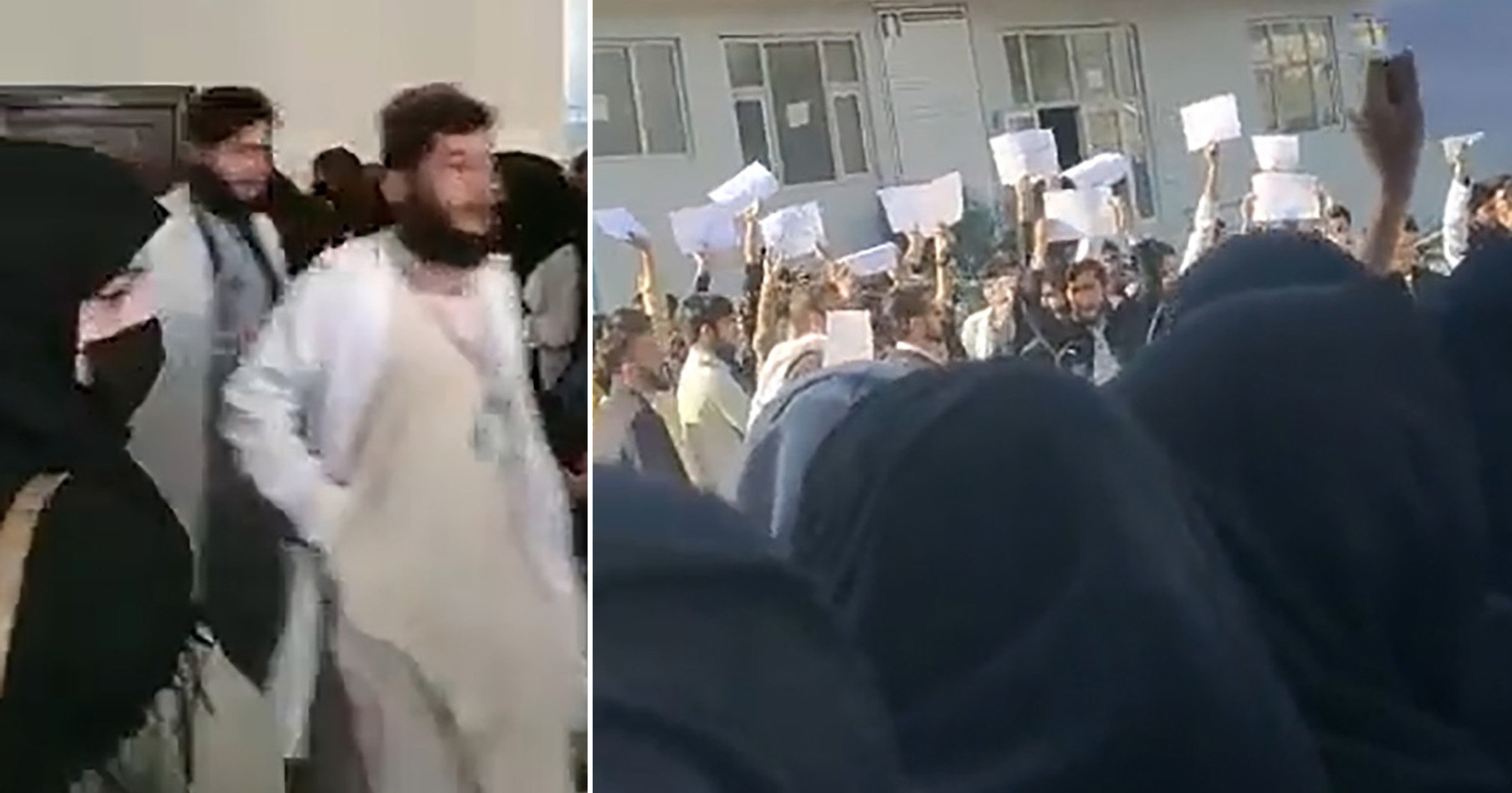 Male Afghan scholars ‘stroll out of exams in protest’ after Taliban bans ladies learning