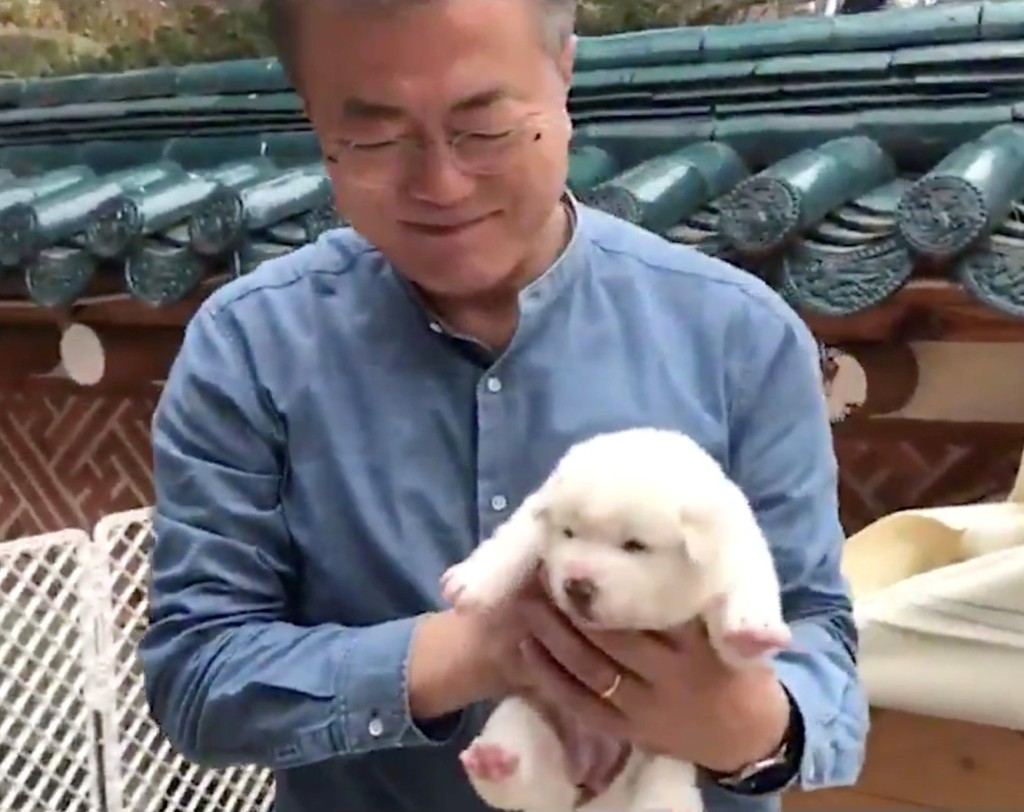 South Korean President Moon Jae-in holds a puppy born from a hunting dog gifted from North Korea, in Seoul, South Korea November 27, 2018 in this still image taken from a video obtained from South Korean Presidential Office/Handout/via REUTERS THIS IMAGE HAS BEEN SUPPLIED BY A THIRD PARTY. MANDATORY CREDIT.