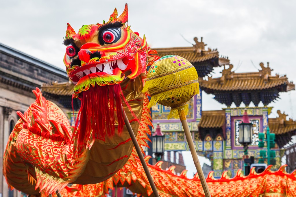 Chinese new year dragon