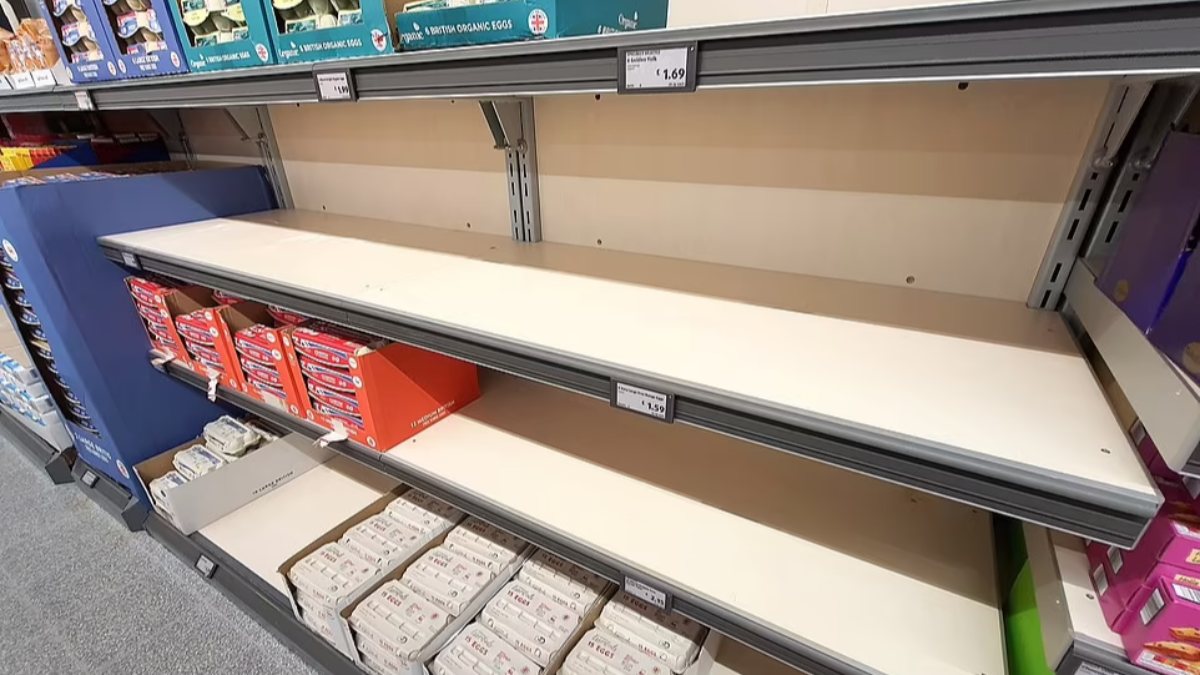 Egg supply crisis in England