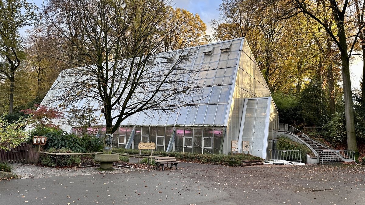 Energy difficulty in Germany: Amazon Space within the zoo closed