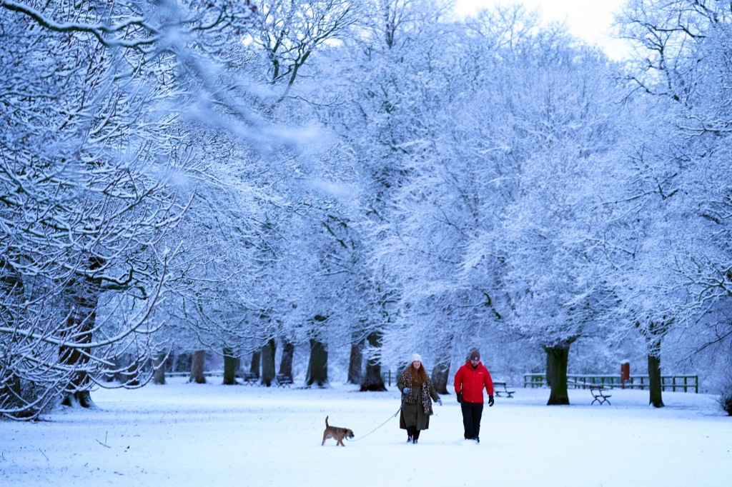 People walk a dog in snowy conditions near Hexham. Drivers have been warned to leave extra time for their Monday morning commute due to icy roads during rush hour, following a weekend of wintry weather. Picture date: Monday January 16, 2023. PA Photo. See PA story WEATHER Winter . Photo credit should read: Owen Humphreys/PA Wire