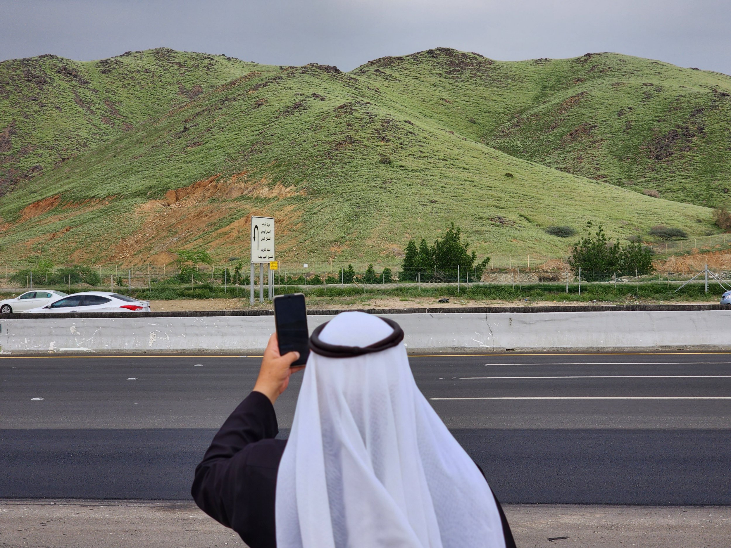 Saudi Arabian barren region turns green after weeks of rain