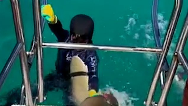 A shark bites Manni Alam off the coast of Australia.