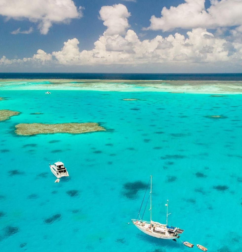 This is Lady Musgrave Island in Queensland