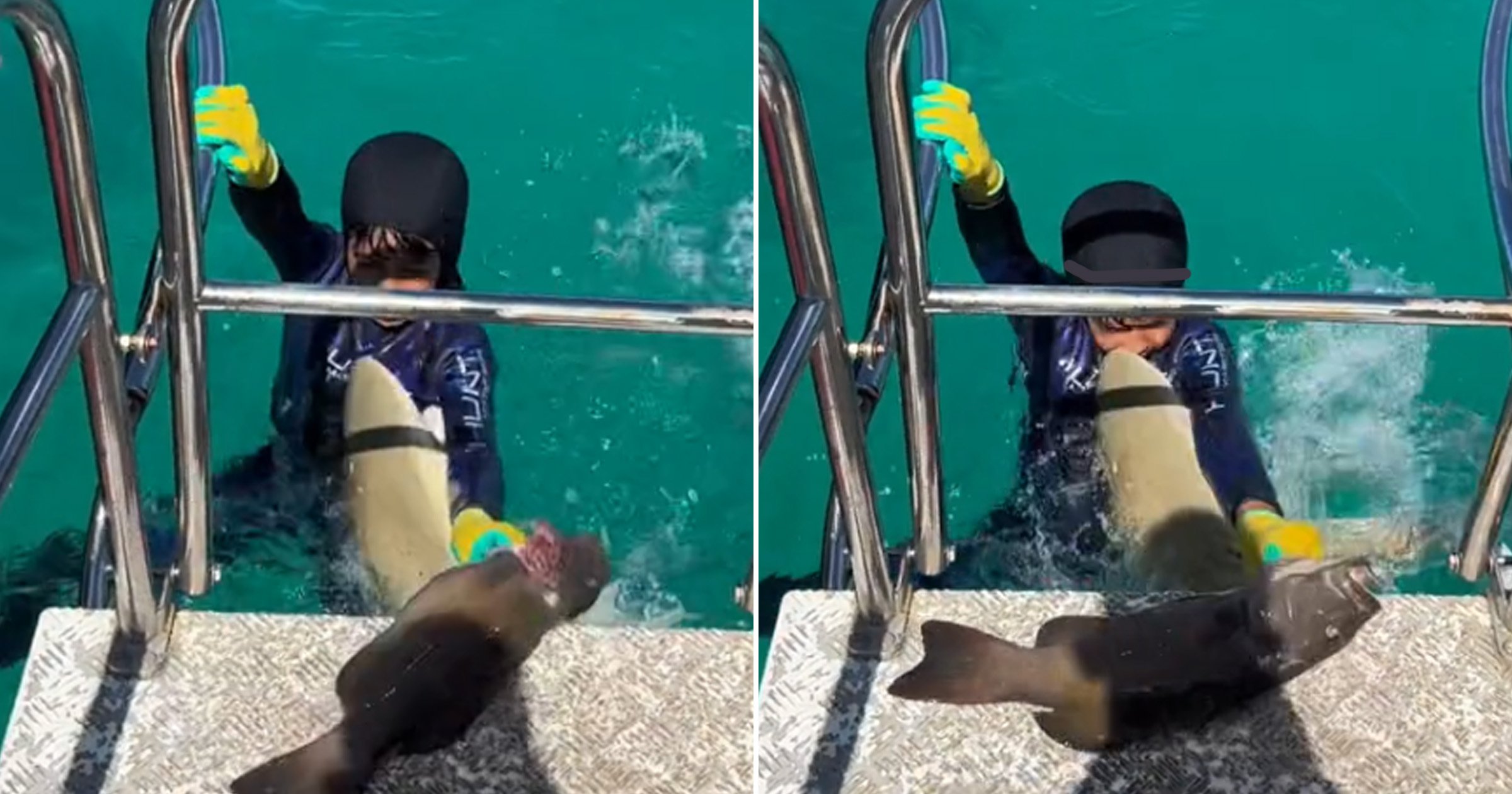 Shark lunges at boy, 8, as he brings fresh catch on to fishing boat