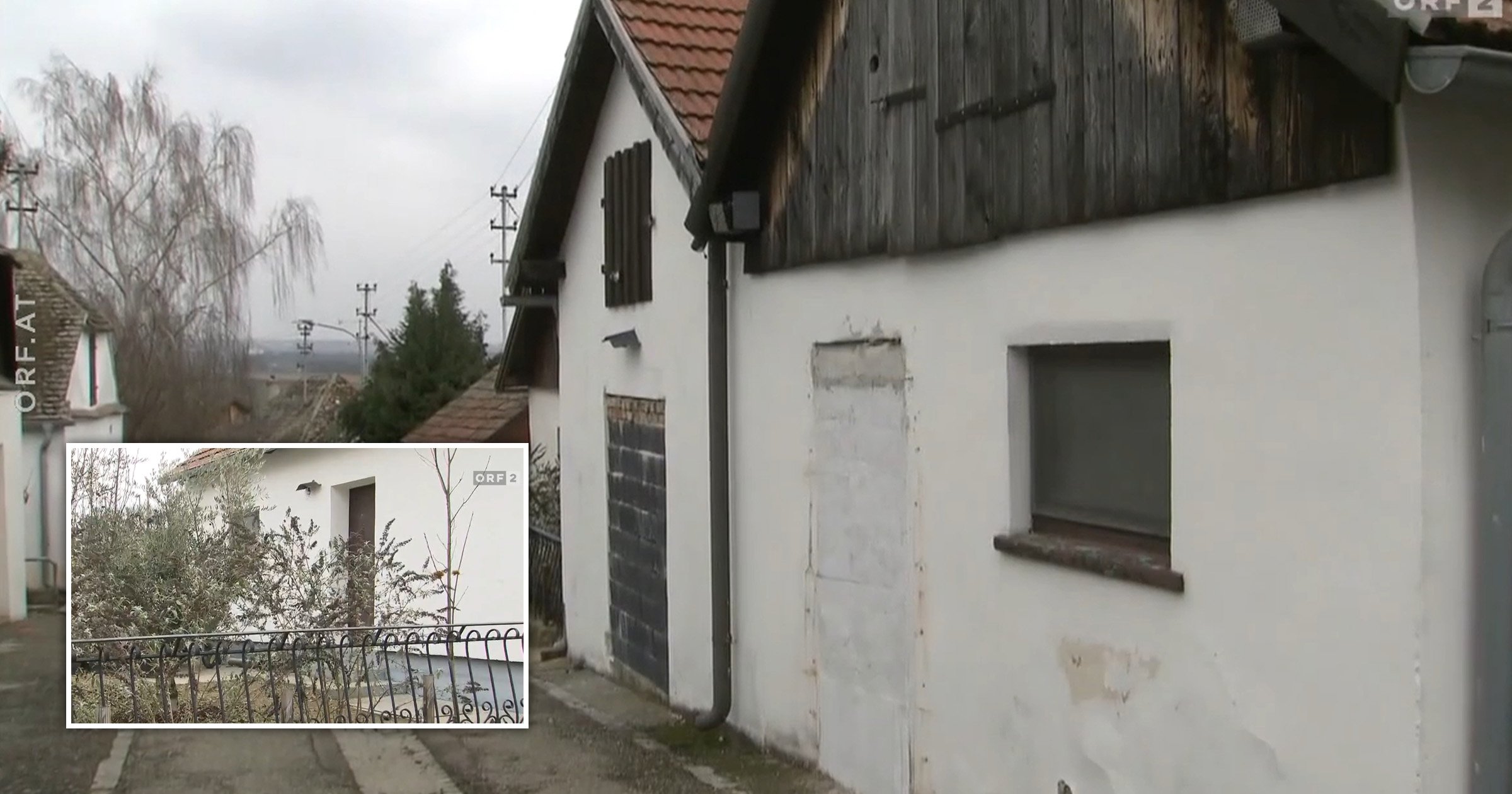 Six British kids rescued from ‘living with conspiracy theorist’ in Austrian cellar