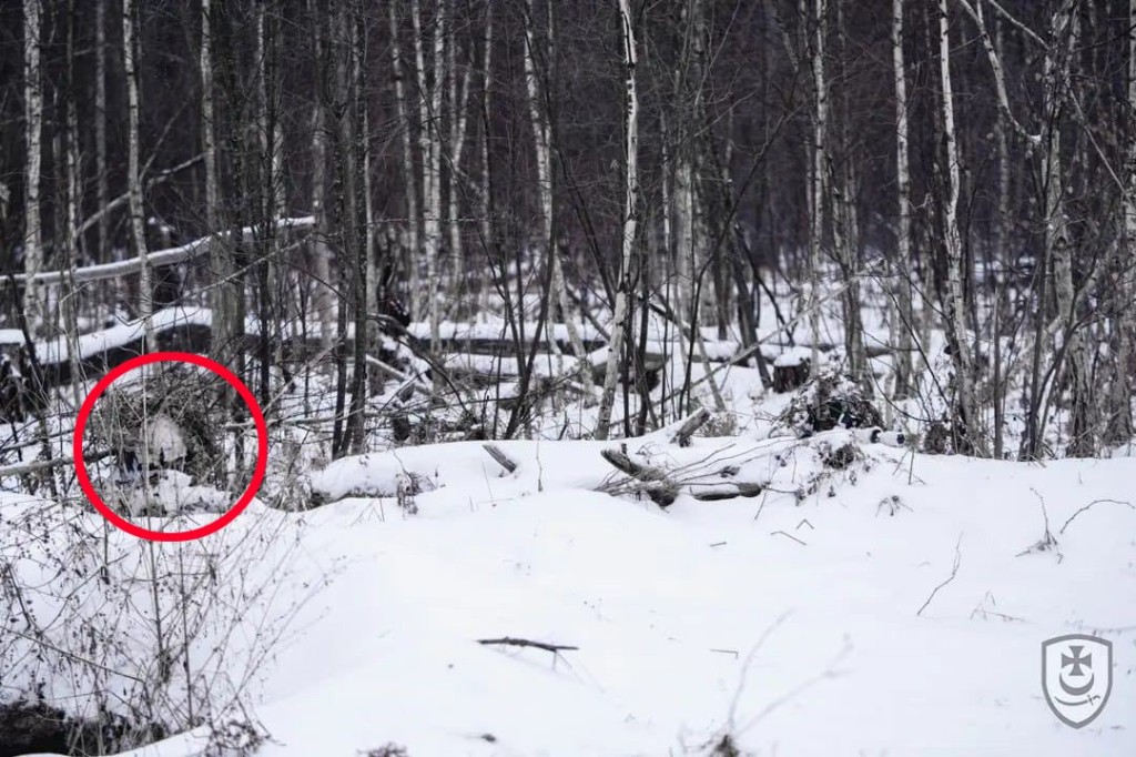 Ukraine shares photo of sniper hidden in this image - can you spot him?