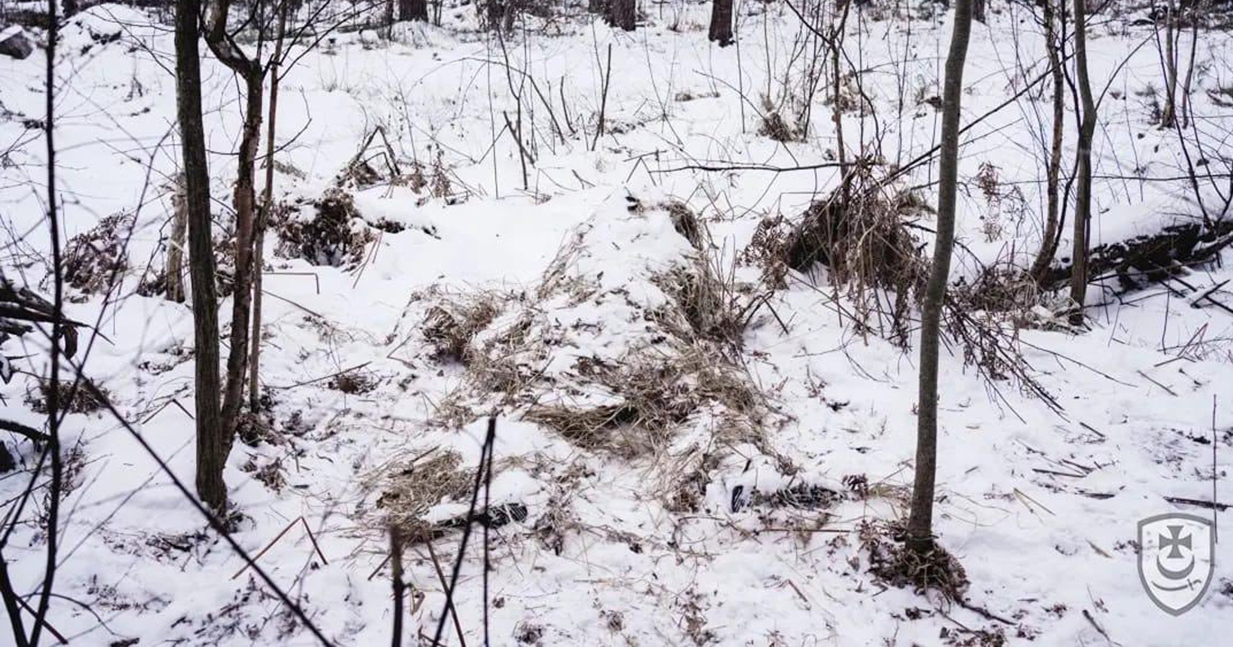 Ukraine stocks picture of sniper hidden in this symbol – can you spot him?