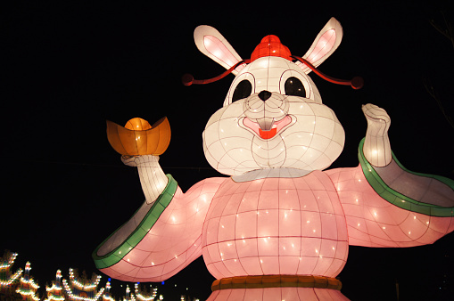 Rabbit lantern