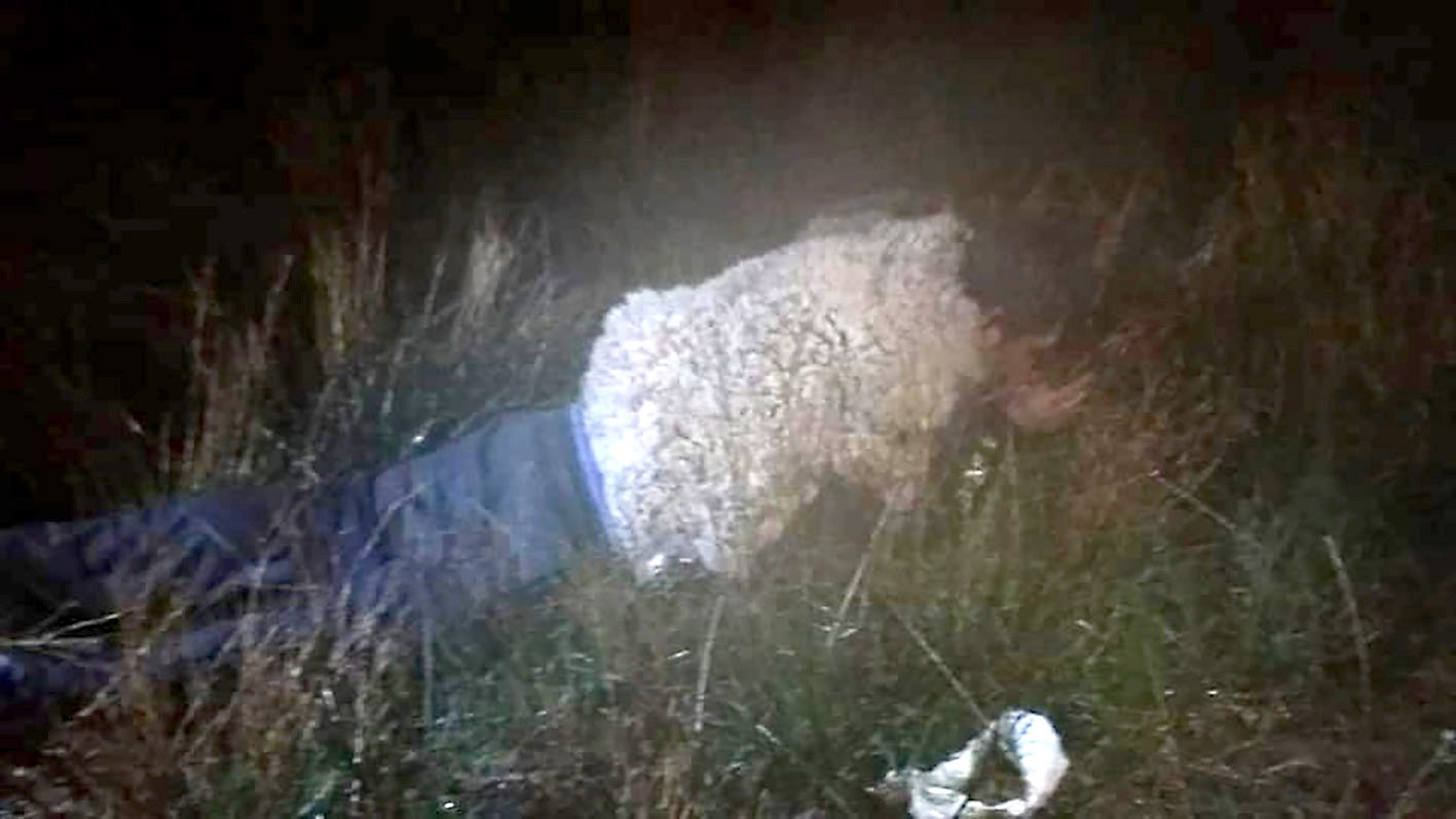 Man disguises himself as a sheep to try to escape prison