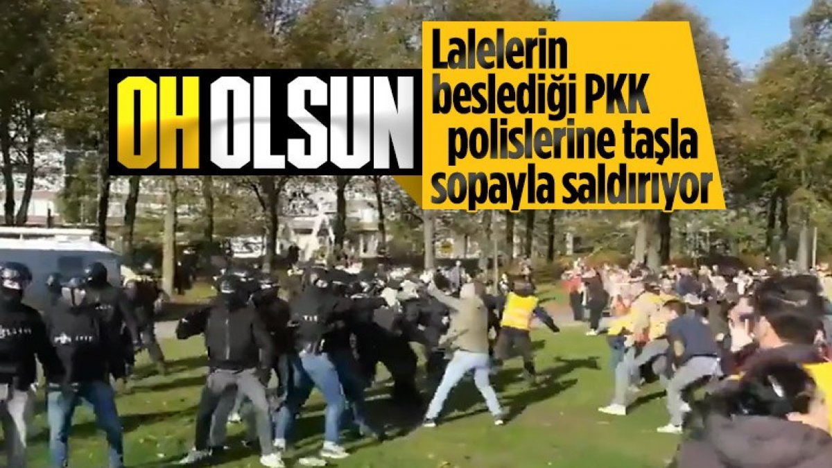 PKK members who attacked the police in the Netherlands are in custody