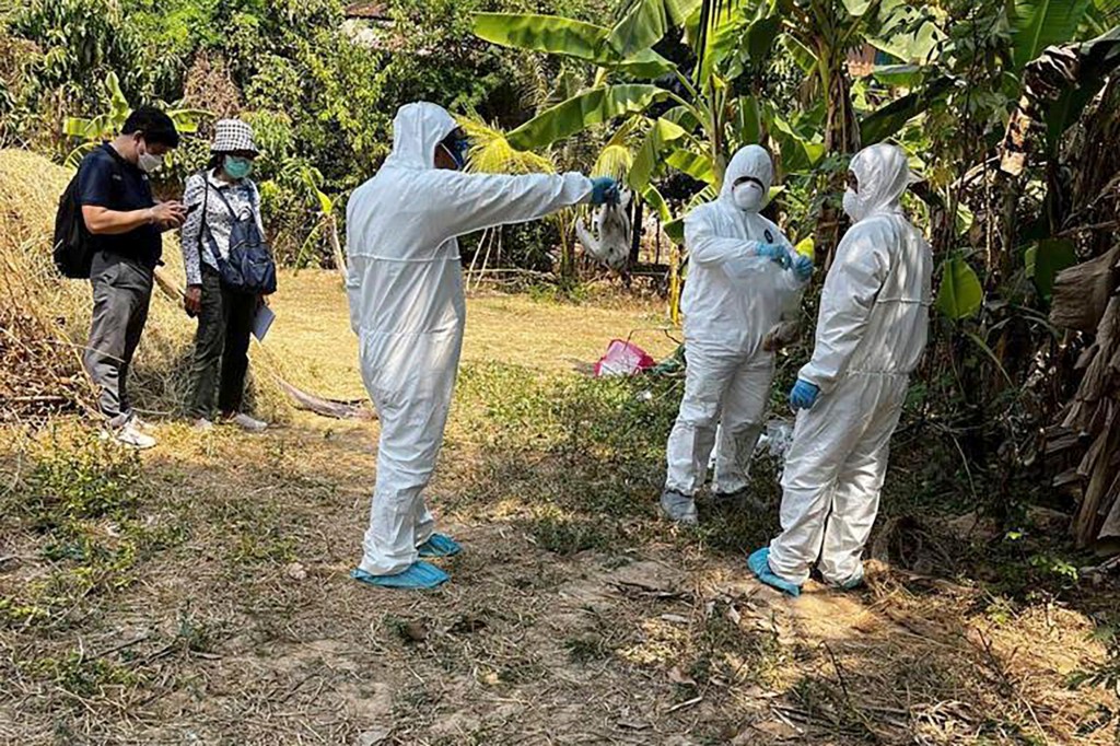 FILE - In this photo released by the Cambodia Ministry of Health, Cambodia health experts spray disinfectant at a village in Prey Veng eastern province Cambodia, Feb. 24, 2023. Health officials in Cambodia say recent cases of bird flu discovered in two villagers, one of them fatal, show no sign of human-to-human transmission. The finding allays fears of a public health crisis. (Cambodia Ministry of Health via AP)