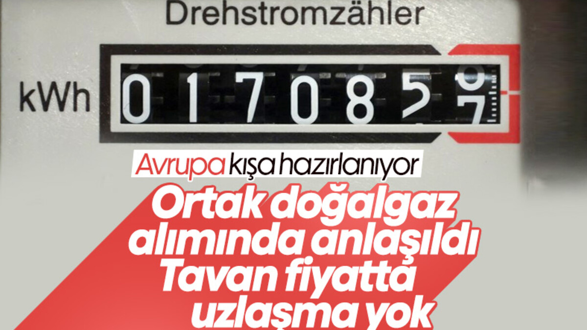 AB ülkeleri ortak doğalgaz alacak