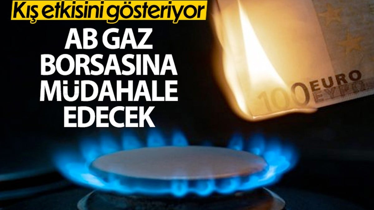 AB'den ortak gaz alımı ve zorunlu dayanışma önerisi